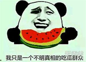 朝阳吃瓜群众什么意思,网络热词背后的社会现象