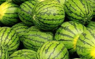 吃瓜网每日大赛 吃瓜爆料大赛每日聚集地,揭秘娱乐圈幕后风云，每日爆料大赛聚集地