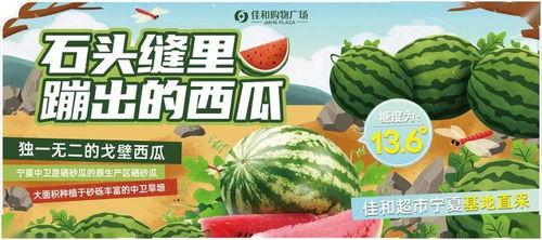 51热门大瓜今日大瓜最新 吃瓜网官网,今日大瓜盘点，吃瓜网官网独家揭秘