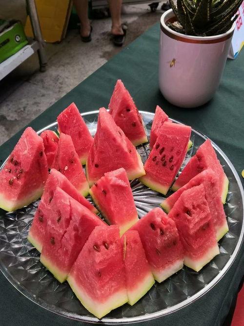 吃瓜爆料短剧吃瓜爆料大赛每日聚集地 吃瓜黑料